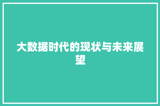 大数据时代的现状与未来展望