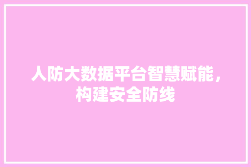 人防大数据平台智慧赋能，构建安全防线  第1张
