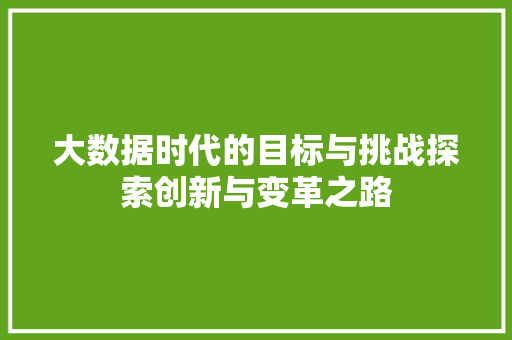 大数据时代的目标与挑战探索创新与变革之路  第1张
