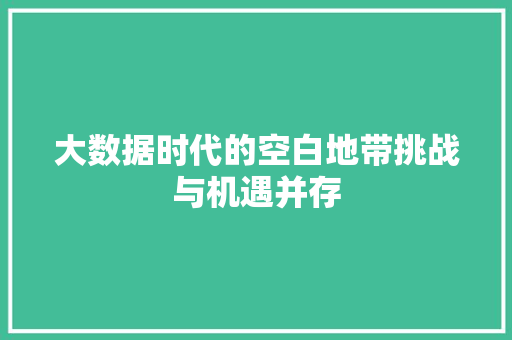 大数据时代的空白地带挑战与机遇并存  第1张