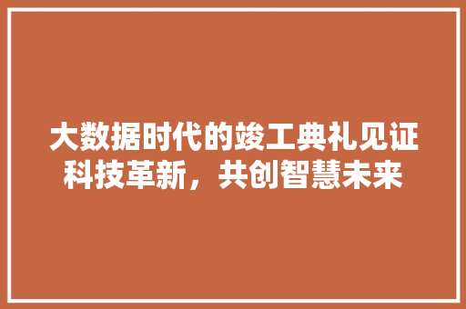 大数据时代的竣工典礼见证科技革新，共创智慧未来