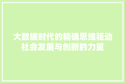 大数据时代的精确思维驱动社会发展与创新的力量  第1张