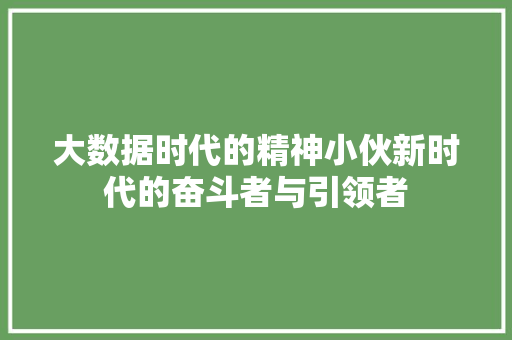 大数据时代的精神小伙新时代的奋斗者与引领者
