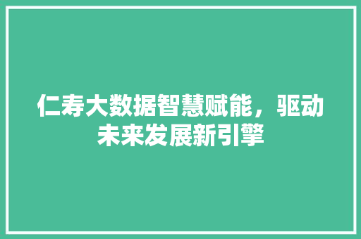 仁寿大数据智慧赋能，驱动未来发展新引擎