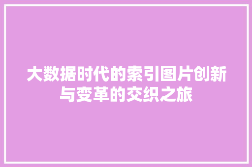 大数据时代的索引图片创新与变革的交织之旅