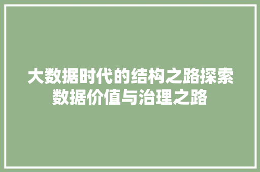 大数据时代的结构之路探索数据价值与治理之路