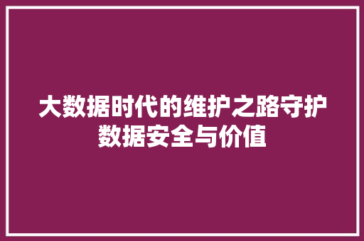大数据时代的维护之路守护数据安全与价值  第1张