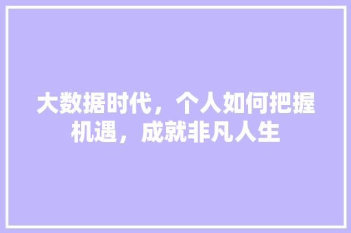 大数据时代，个人如何把握机遇，成就非凡人生