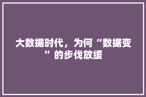 大数据时代，为何“数据变”的步伐放缓  第1张