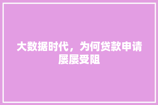 大数据时代，为何贷款申请屡屡受阻  第1张