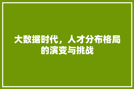 大数据时代，人才分布格局的演变与挑战  第1张