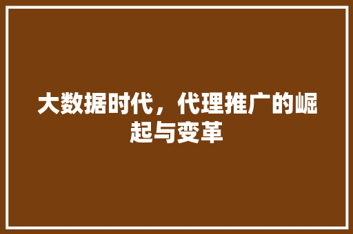大数据时代，代理推广的崛起与变革