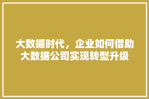 大数据时代，企业如何借助大数据公司实现转型升级  第1张