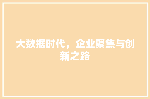 大数据时代，企业聚焦与创新之路