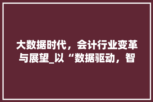 大数据时代，会计行业变革与展望_以“数据驱动，智慧会计”为核心  第1张