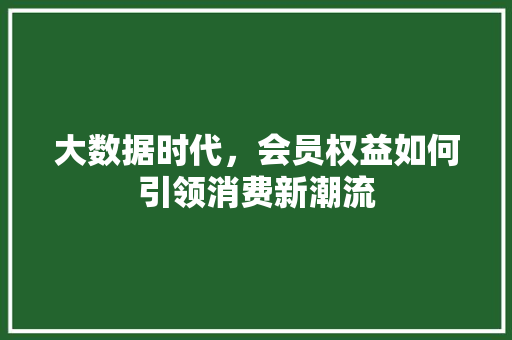 大数据时代，会员权益如何引领消费新潮流