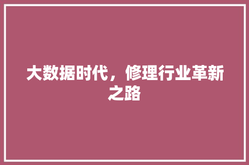 大数据时代，修理行业革新之路