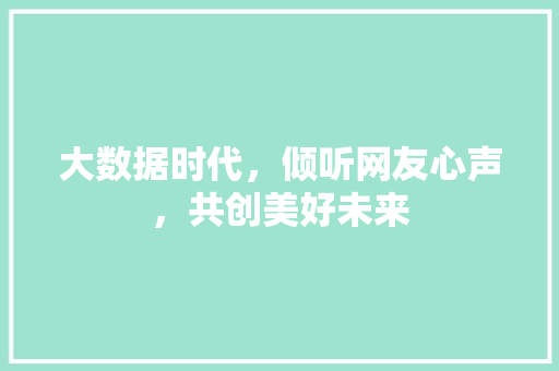 大数据时代，倾听网友心声，共创美好未来