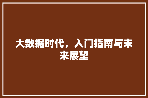 大数据时代，入门指南与未来展望
