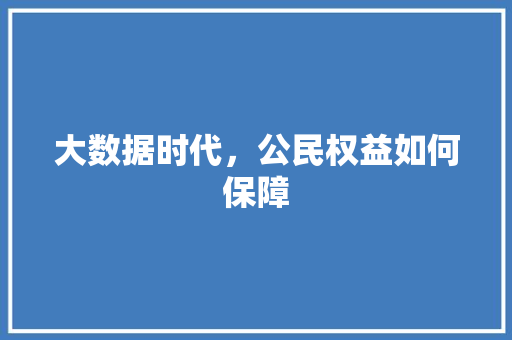 大数据时代，公民权益如何保障  第1张