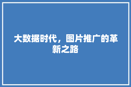 大数据时代，图片推广的革新之路