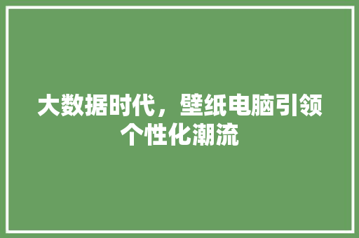 大数据时代，壁纸电脑引领个性化潮流