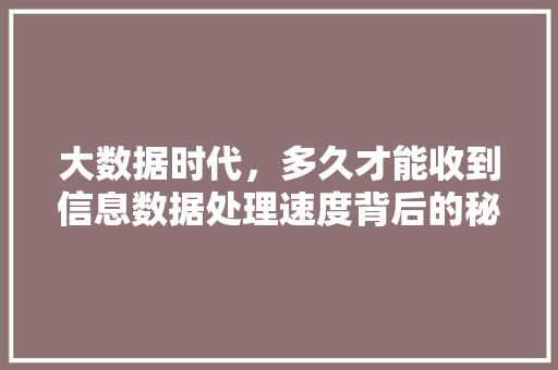 大数据时代，多久才能收到信息数据处理速度背后的秘密