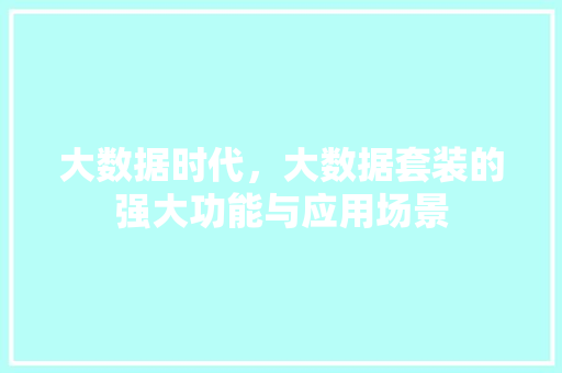 大数据时代，大数据套装的强大功能与应用场景
