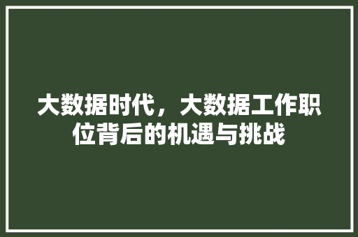 大数据时代，大数据工作职位背后的机遇与挑战
