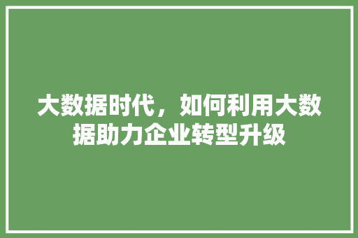大数据时代，如何利用大数据助力企业转型升级  第1张