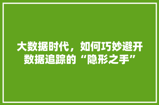 大数据时代，如何巧妙避开数据追踪的“隐形之手”  第1张