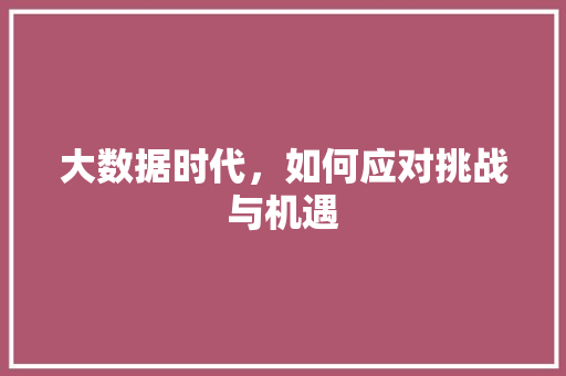 大数据时代，如何应对挑战与机遇
