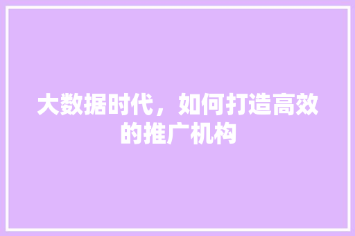 大数据时代，如何打造高效的推广机构