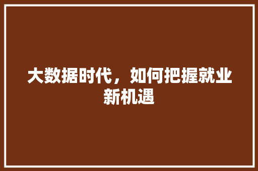 大数据时代，如何把握就业新机遇