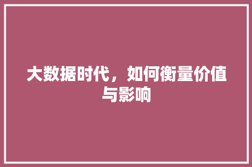 大数据时代，如何衡量价值与影响  第1张