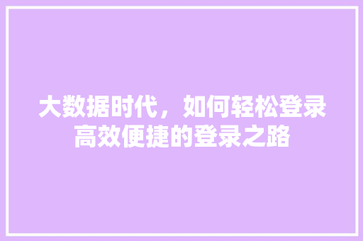 大数据时代，如何轻松登录高效便捷的登录之路