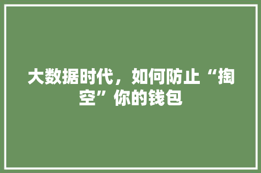 大数据时代，如何防止“掏空”你的钱包  第1张