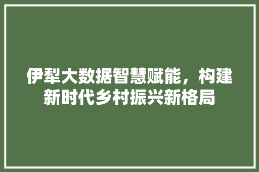 伊犁大数据智慧赋能，构建新时代乡村振兴新格局  第1张