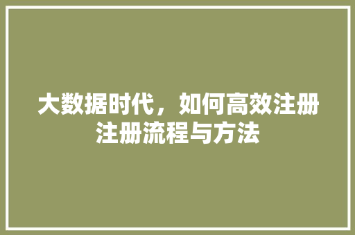 大数据时代，如何高效注册注册流程与方法