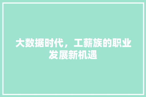 大数据时代，工薪族的职业发展新机遇  第1张