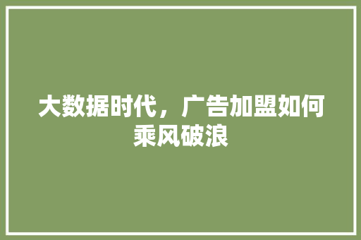 大数据时代，广告加盟如何乘风破浪  第1张