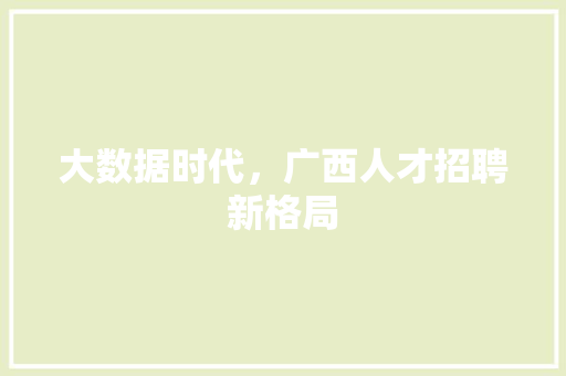 大数据时代，广西人才招聘新格局  第1张