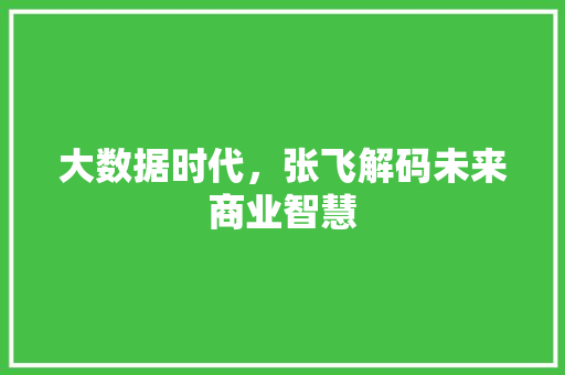 大数据时代，张飞解码未来商业智慧  第1张