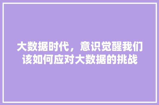 大数据时代，意识觉醒我们该如何应对大数据的挑战  第1张