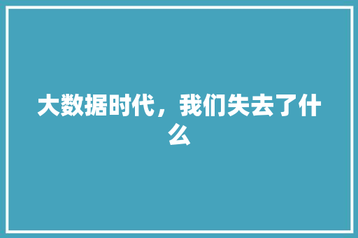 大数据时代，我们失去了什么  第1张