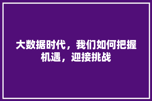 大数据时代，我们如何把握机遇，迎接挑战  第1张
