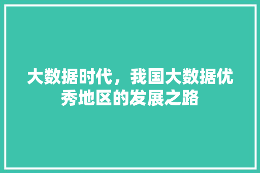 大数据时代，我国大数据优秀地区的发展之路