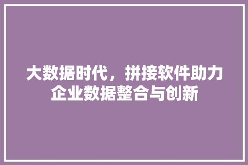 大数据时代，拼接软件助力企业数据整合与创新