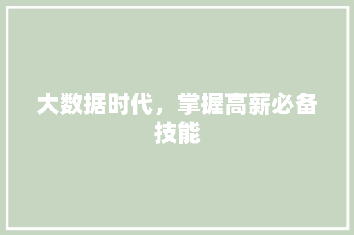 大数据时代，掌握高薪必备技能