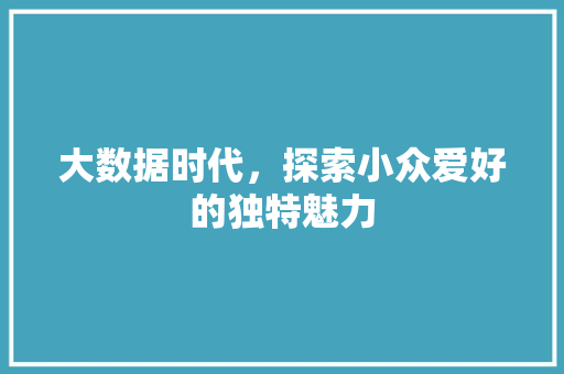 大数据时代，探索小众爱好的独特魅力